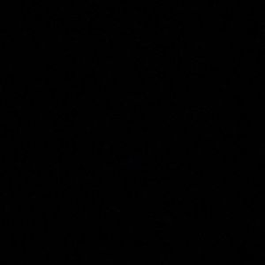 Meet your Posher, Jocelyn